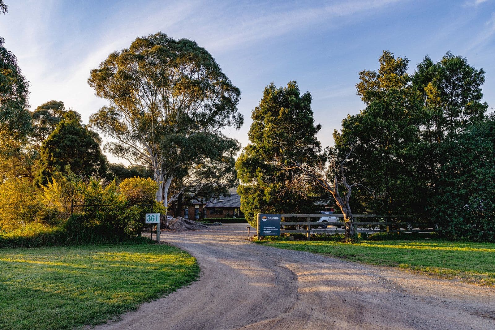 The tree-lined driveway at the entrance to Pets E. Ternal Cemetery
