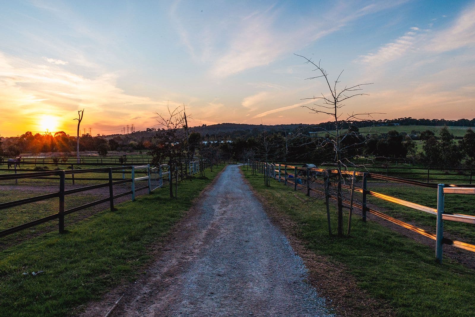 The fenced lane at sunset