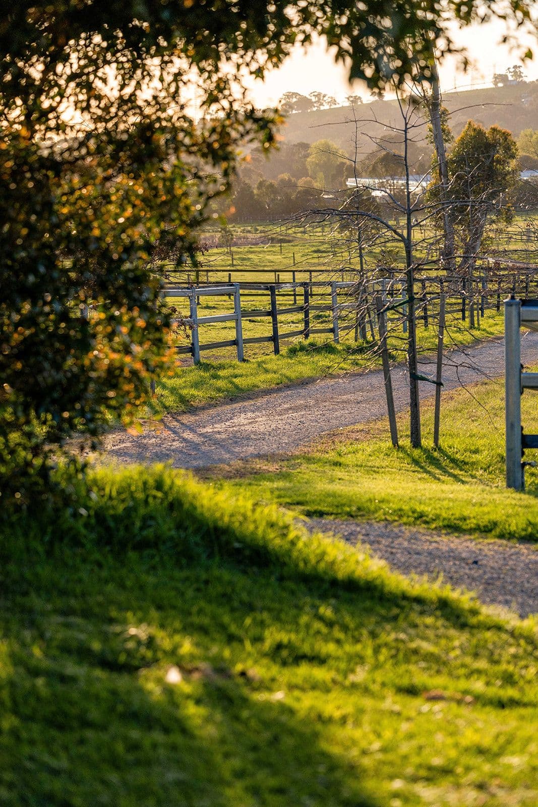 A path through the grounds in golden hour light