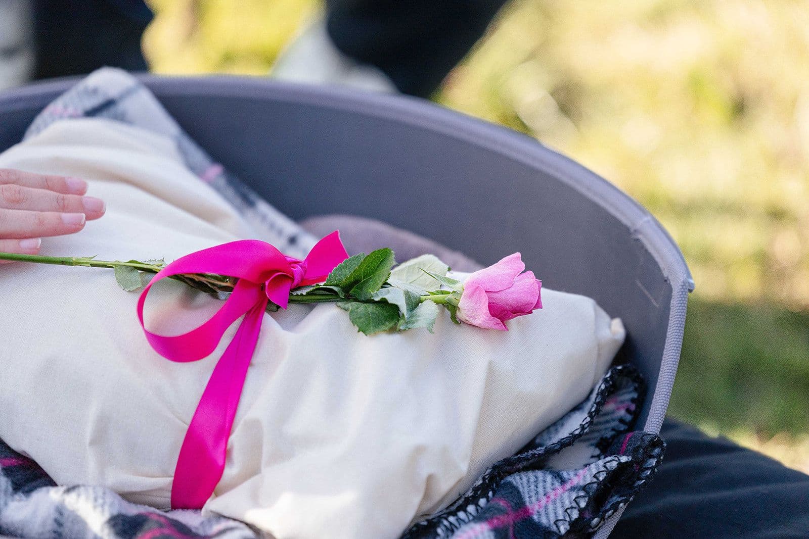 A pet wrapped in a soft shroud with a single rose